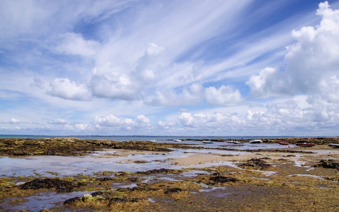 Séjour à Noirmoutier pour les 6ème du 28 au 29 septembre