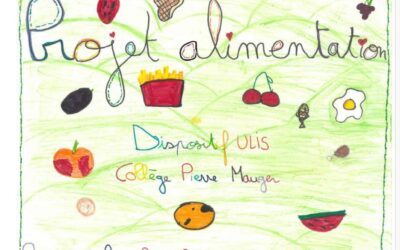 Projet sur l’alimentation du dispositif ULIS